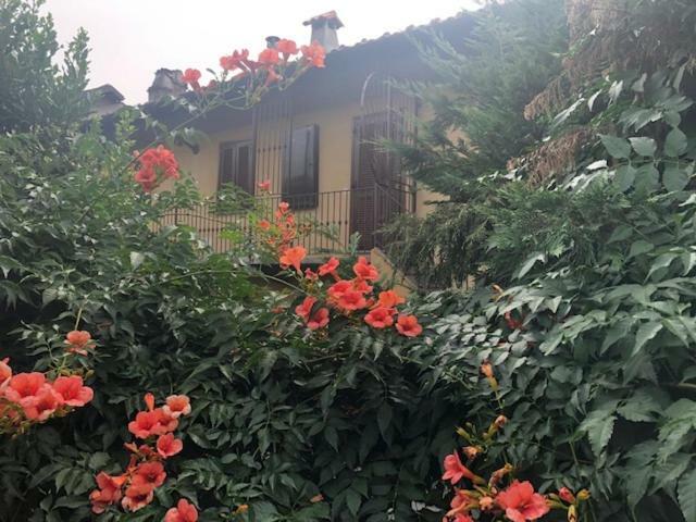 La Casina Del Grillo Bed & Breakfast Torino Eksteriør bilde